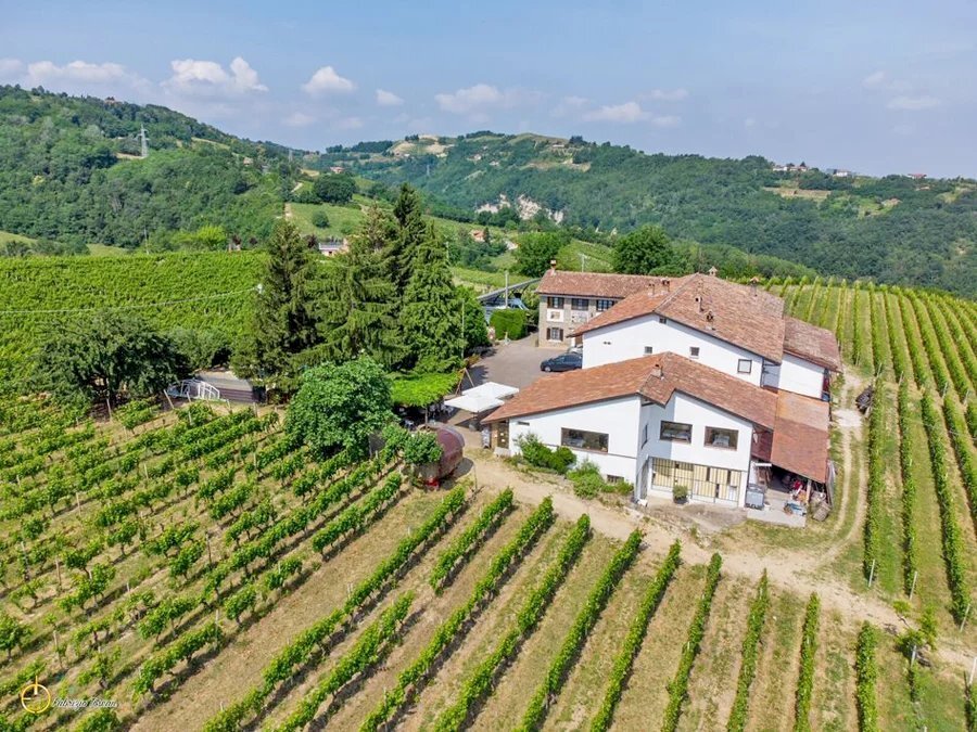 Farm Canelli - photo 2