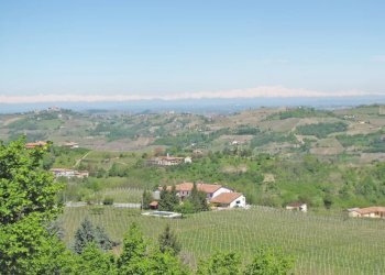 Farm Canelli - photo 4