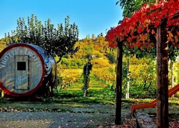 Farm Canelli - photo 8