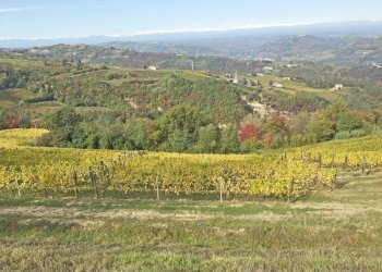 Farm Canelli - photo 11