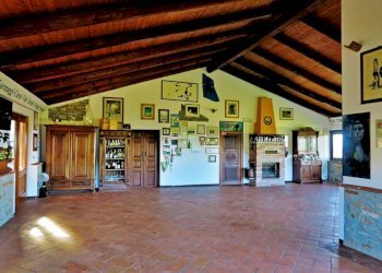 Farm Canelli - photo 12