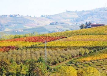 Farm Canelli - photo 14