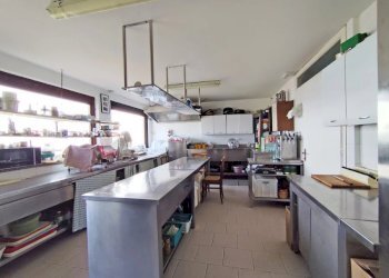 Farm Canelli - photo 18