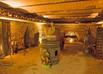 Farm Canelli - photo 33