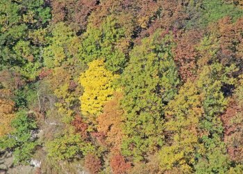 Farm Canelli - photo 37