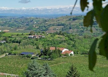 Farm Canelli - photo 42