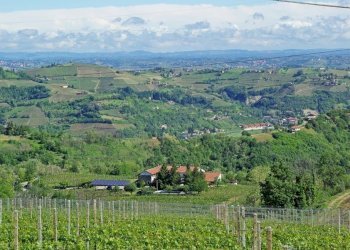 Farm Canelli - photo 43