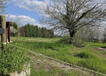 Casa indipendente Strada Nazionale Per Carpi Nord 1260, Modena - foto 5