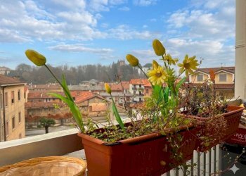 Trilocale Arcore - foto 12