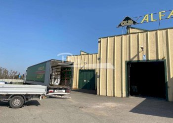 Apartment Modena - photo 2