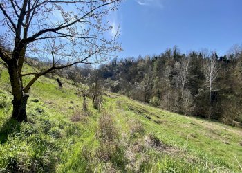 Casa indipendente Alba - foto 9