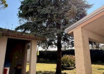 Independent house Medesano - photo 7