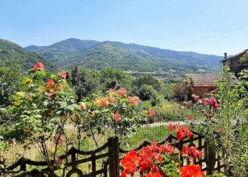 Casa indipendente borgata palazzotto, Inverso Pinasca - foto 4