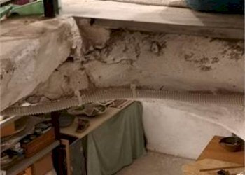 Negozio Genova - foto 4