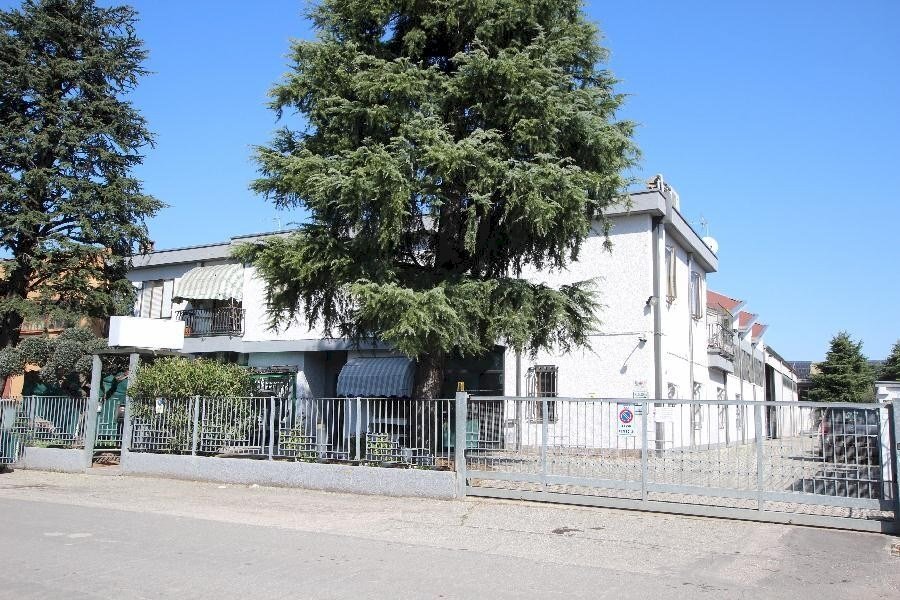 Shed Imola - photo 1