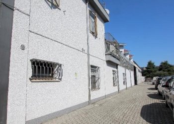 Shed Imola - photo 2