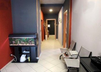 Shed Imola - photo 7