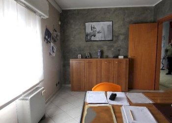 Shed Imola - photo 13