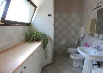 Shed Imola - photo 17