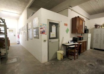 Shed Imola - photo 19