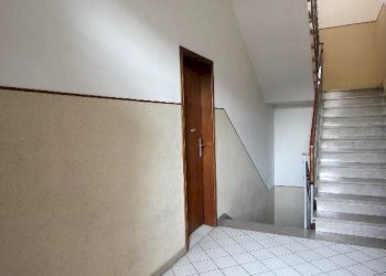 Shed Imola - photo 38