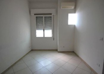 Shed Imola - photo 41