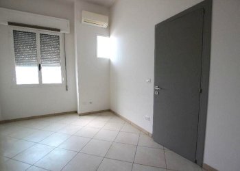 Shed Imola - photo 42