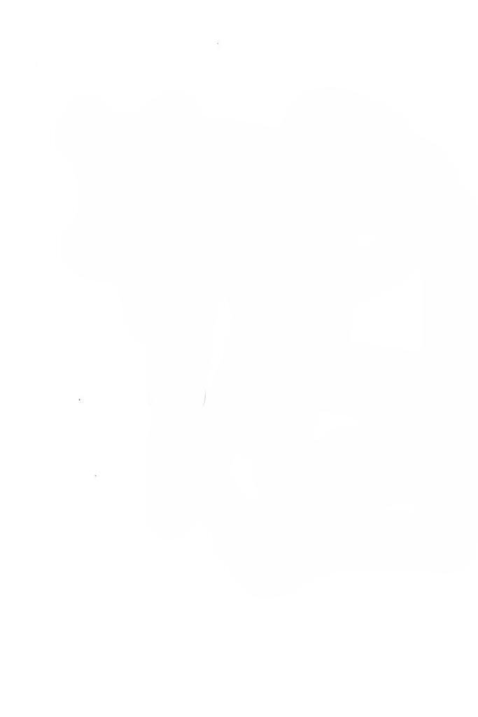 Villa Via Eduardo de Filippo, Vigevano - planimetria 1