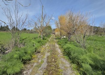 Foto 12 - Villa Taverna delle noci
 
56, Vallesaccarda - foto 12