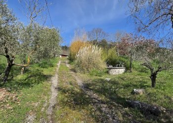 Foto 13 - Villa Taverna delle noci
 
56, Vallesaccarda - foto 13