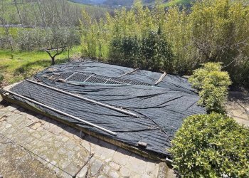 Foto 14 - Villa Taverna delle noci
 
56, Vallesaccarda - foto 14