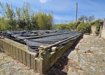 Foto 19 - Villa Taverna delle noci
 
56, Vallesaccarda - foto 19