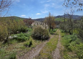 Foto 20 - Villa Taverna delle noci
 
56, Vallesaccarda - foto 20