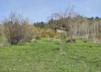 Foto 21 - Villa Taverna delle noci
 
56, Vallesaccarda - foto 21