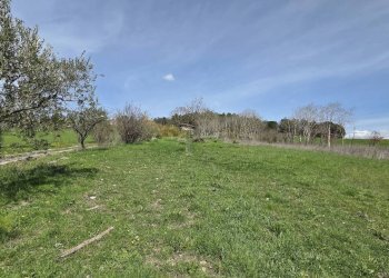 Foto 25 - Villa Taverna delle noci
 
56, Vallesaccarda - foto 25