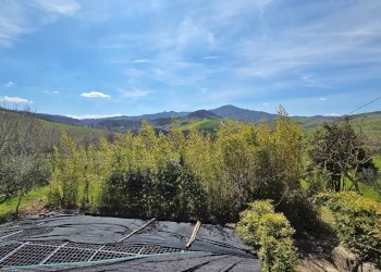 Foto 26 - Villa Taverna delle noci
 
56, Vallesaccarda - foto 26