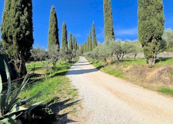 Foto 6 - Rustico Strada Regionale 398, Monterotondo Marittimo - foto 6