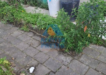 Foto 13 - Appartamento Empoli - foto 13