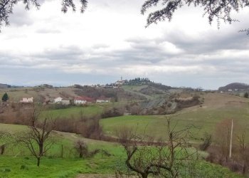 Foto 12 - Villa Giuliani, Pareto - foto 12