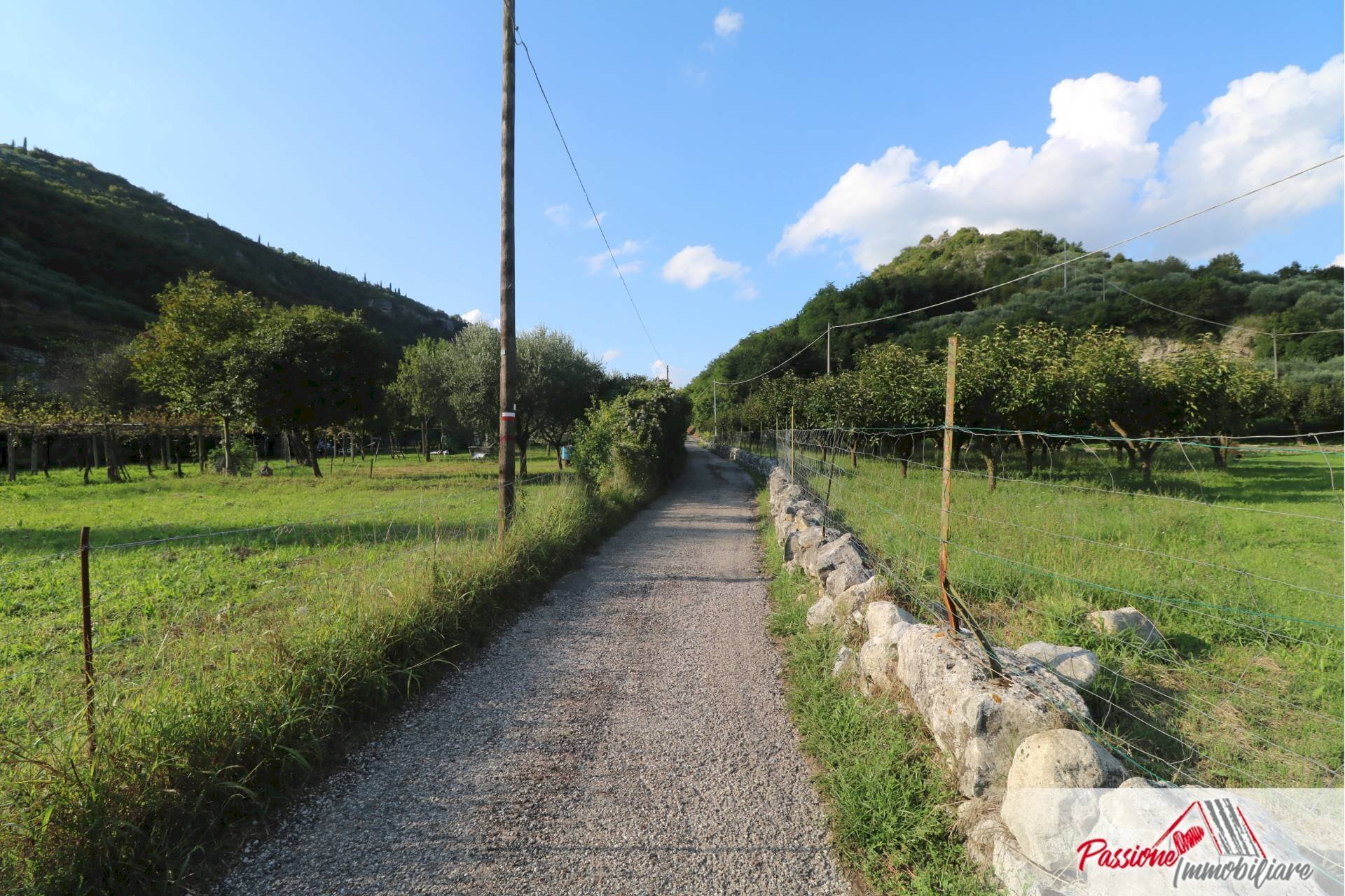 Foto 1 - Terreno agricolo Strada Del Borago, Verona - foto 1