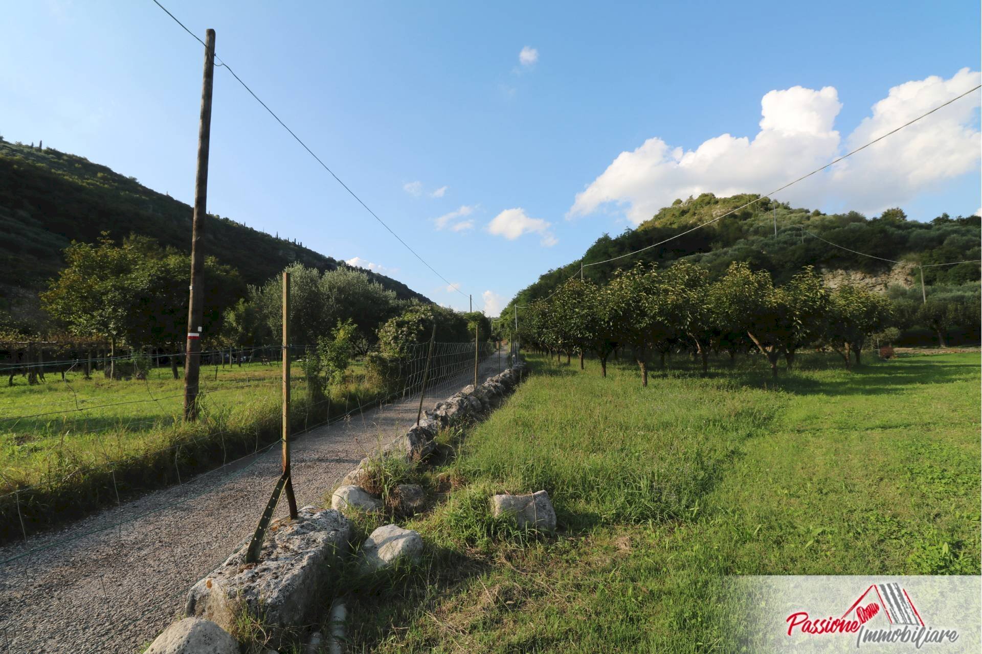 Foto 2 - Terreno agricolo Strada Del Borago, Verona - foto 2