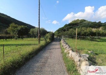 Foto 1 - Terreno agricolo Strada Del Borago, Verona - foto 1