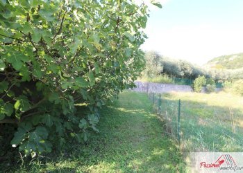 Foto 3 - Terreno agricolo Strada Del Borago, Verona - foto 3