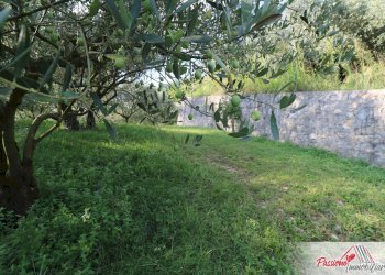 Foto 4 - Terreno agricolo Strada Del Borago, Verona - foto 4