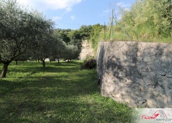 Foto 6 - Terreno agricolo Strada Del Borago, Verona - foto 6