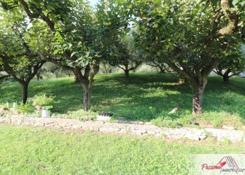 Foto 8 - Terreno agricolo Strada Del Borago, Verona - foto 8