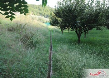 Foto 9 - Terreno agricolo Strada Del Borago, Verona - foto 9