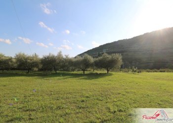 Foto 13 - Terreno agricolo Strada Del Borago, Verona - foto 13