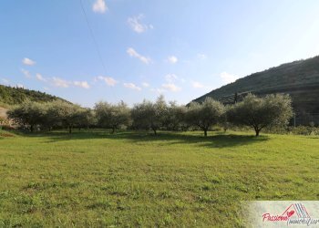 Foto 14 - Terreno agricolo Strada Del Borago, Verona - foto 14