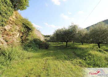 Foto 16 - Terreno agricolo Strada Del Borago, Verona - foto 16